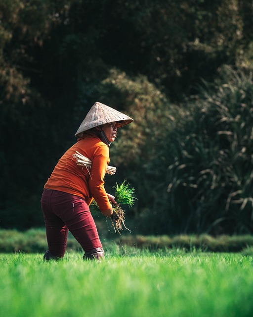 
Agri-Food Pilot
